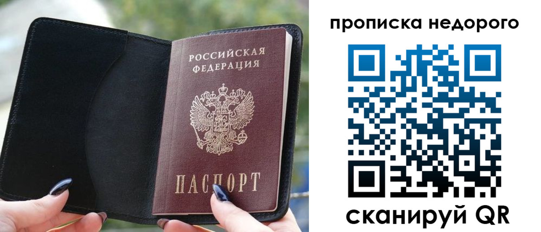 временная регистрация поиск в Лосино-Петровском